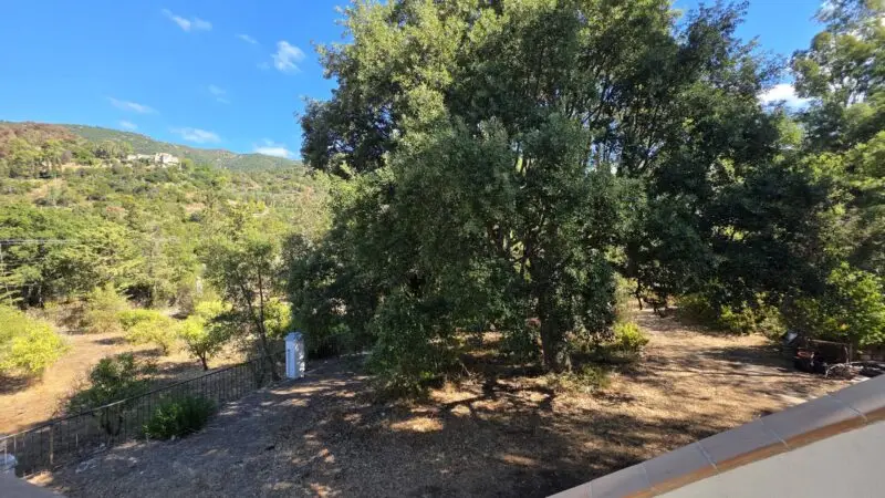 Real Estate Agency Sardinia