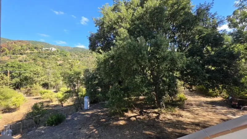 Real Estate Agency Sardinia