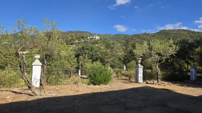 Real Estate Agency Sardinia