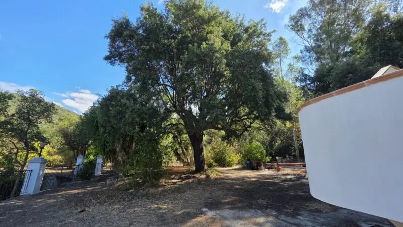Real Estate Agency Sardinia