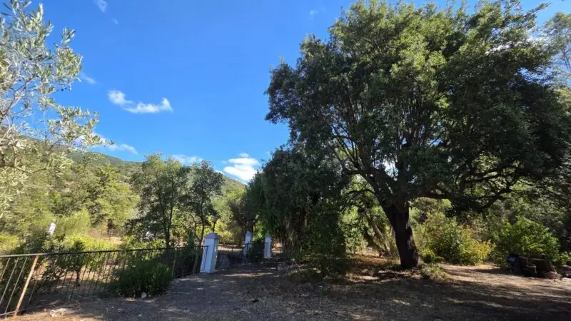 Real Estate Agency Sardinia