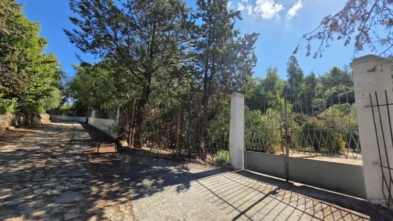 Real Estate Agency Sardinia