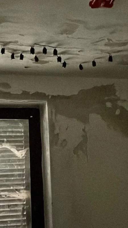 Agenzia Immobiliare Cagliari