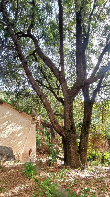 Agenzia Immobiliare Cagliari