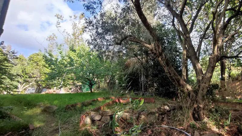 Agenzia Immobiliare Cagliari