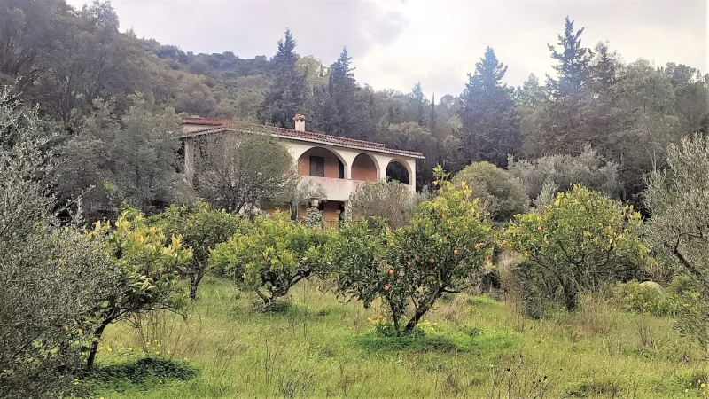 Agenzia Immobiliare Cagliari