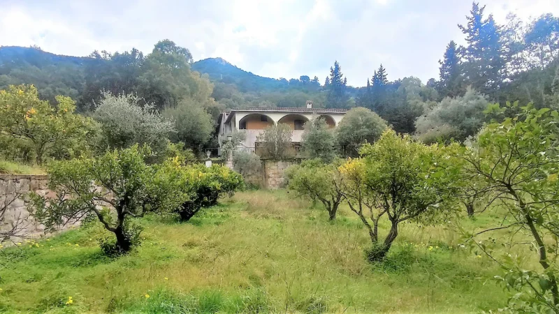 Agenzia Immobiliare Cagliari