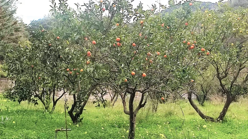 Agenzia Immobiliare Cagliari