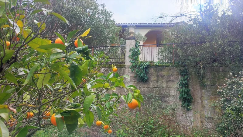 Agenzia Immobiliare Cagliari