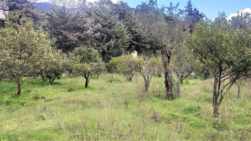 Agenzia Immobiliare Cagliari