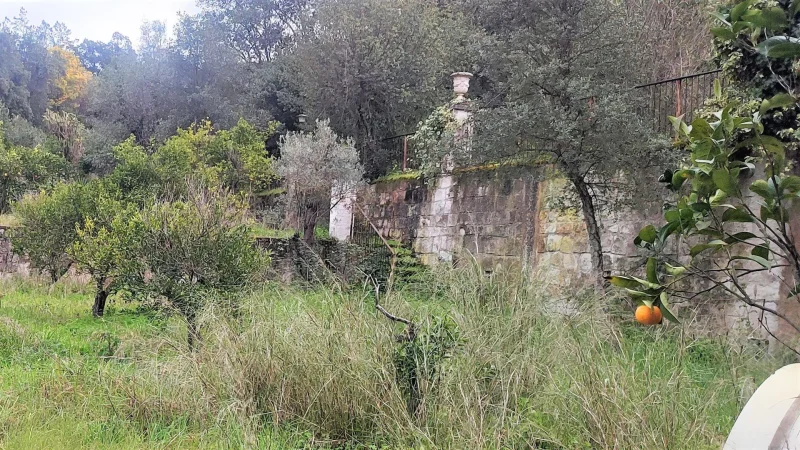 Agenzia Immobiliare Cagliari