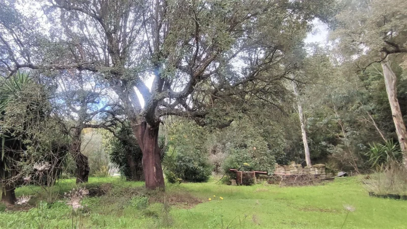 Agenzia Immobiliare Cagliari