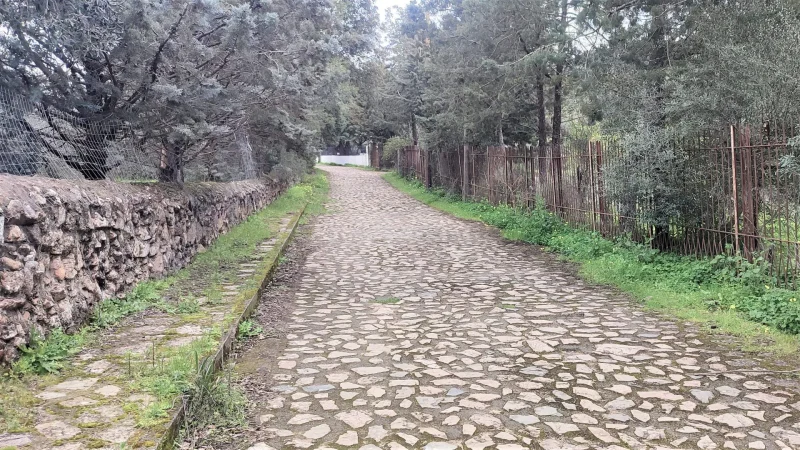 Agenzia Immobiliare Cagliari