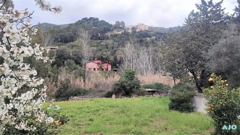 Agenzia Immobiliare Cagliari