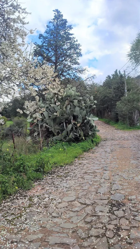 Agenzia Immobiliare Cagliari