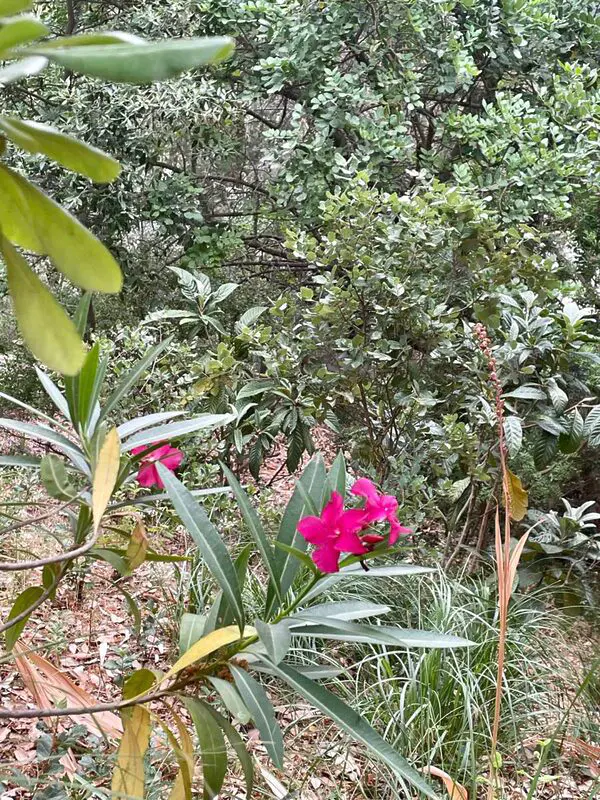 Agenzia Immobiliare Cagliari