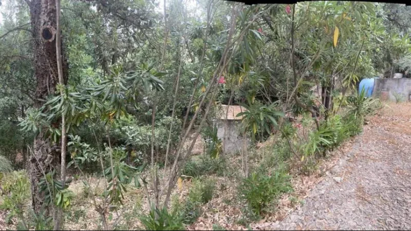 Agenzia Immobiliare Cagliari