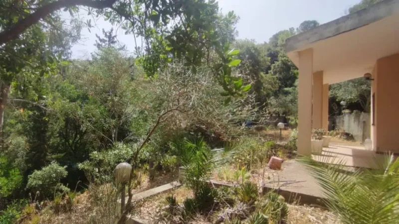 Agenzia Immobiliare Cagliari