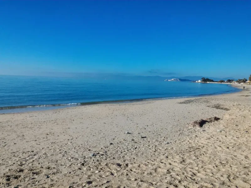 Real Estate Agency Sardinia