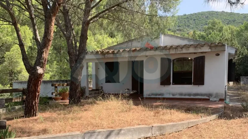 Real Estate Agency Sardinia