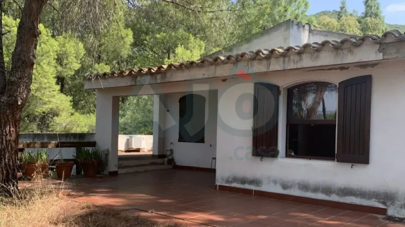Real Estate Agency Sardinia