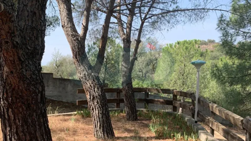 Real Estate Agency Sardinia