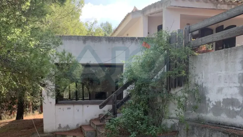 Real Estate Agency Sardinia