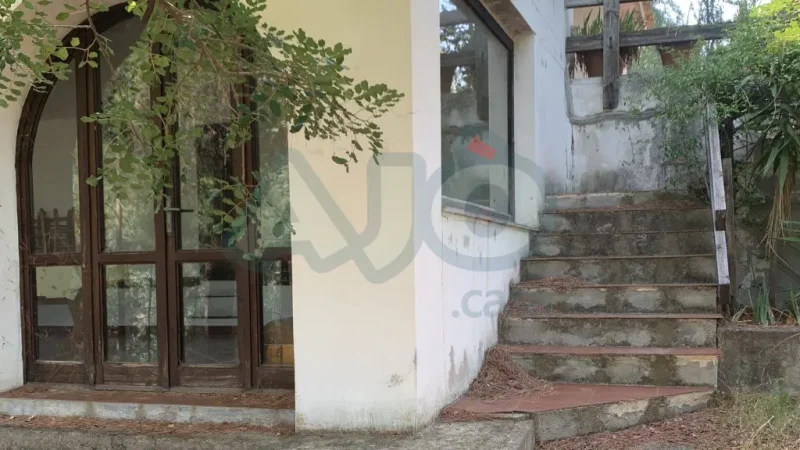 Real Estate Agency Sardinia
