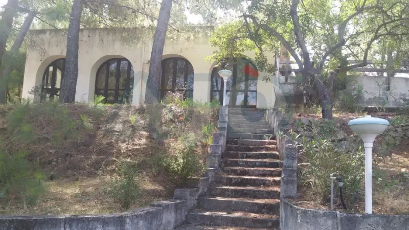 Real Estate Agency Sardinia