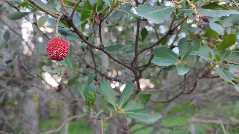 Agenzia Immobiliare Cagliari