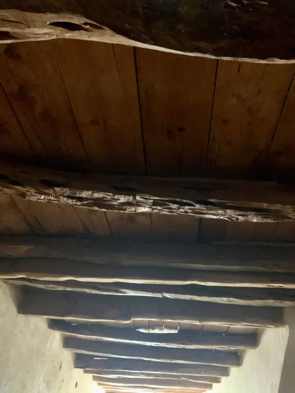 Real Estate Agency Sardinia