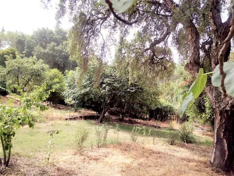 Agenzia Immobiliare Cagliari