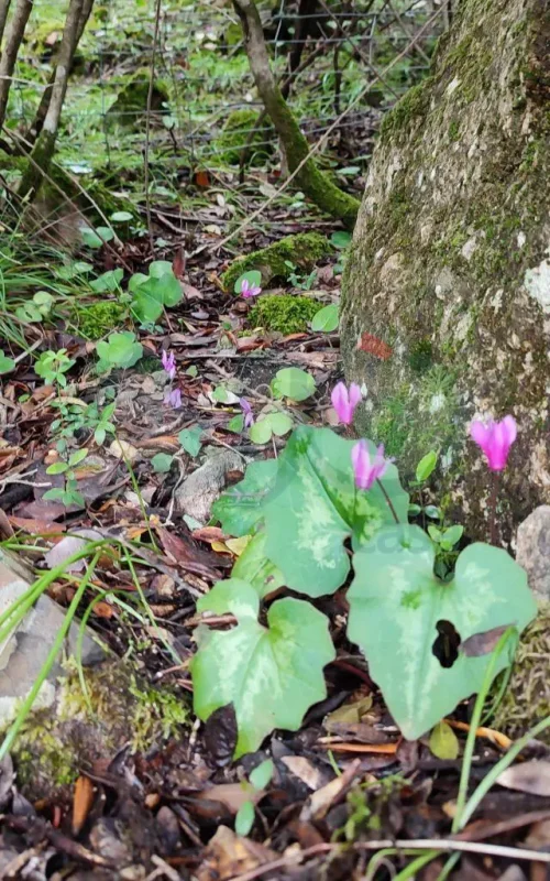 Agenzia Immobiliare Cagliari