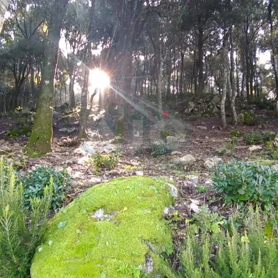 Villaggio delle mimose 5 Villaggio delle mimose