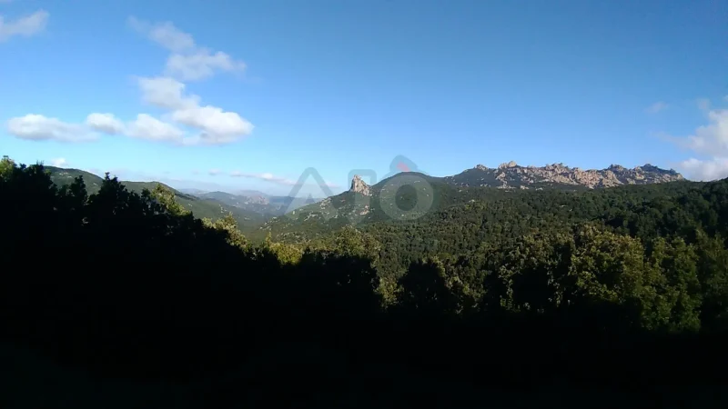 Agenzia Immobiliare Cagliari