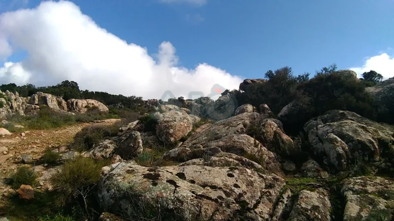 Real Estate Agency Sardinia