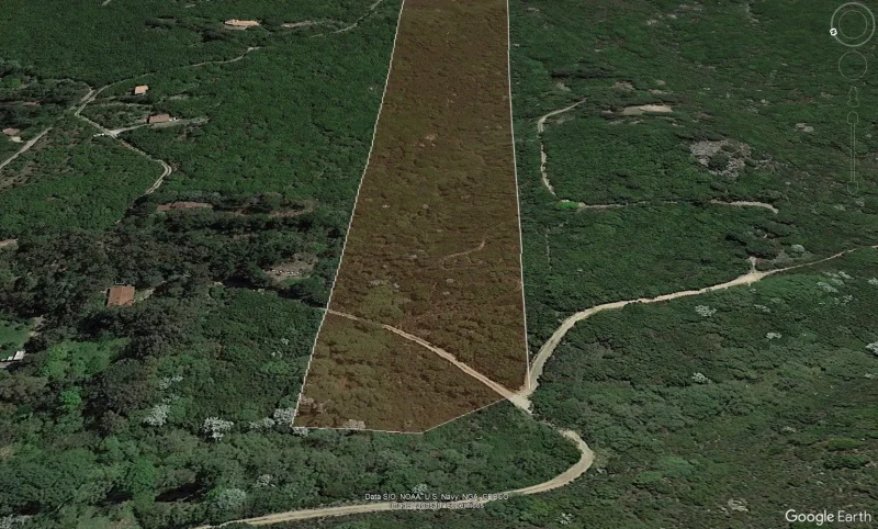 Real Estate Agency Sardinia