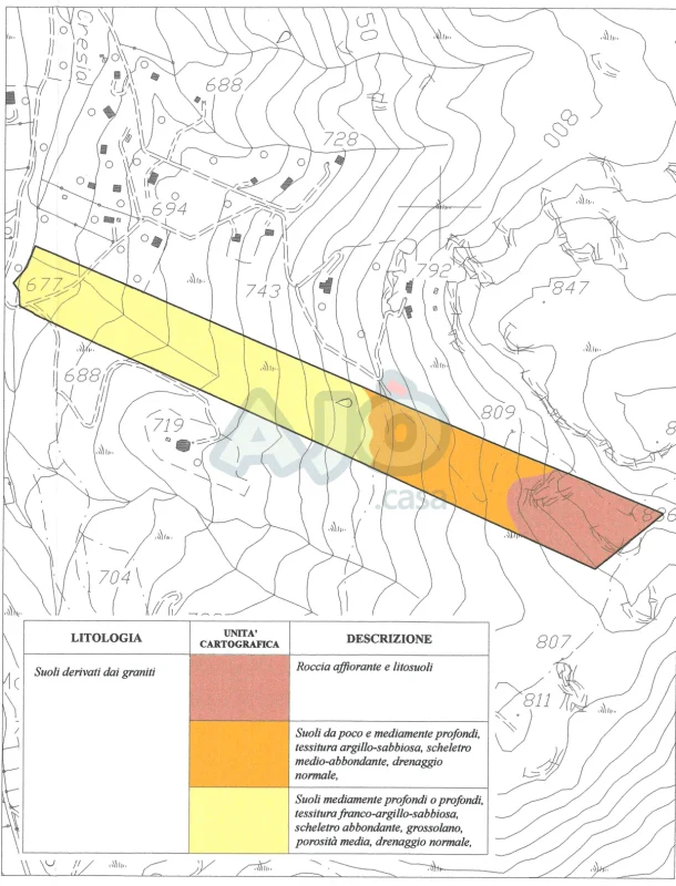 Real Estate Agency Sardinia