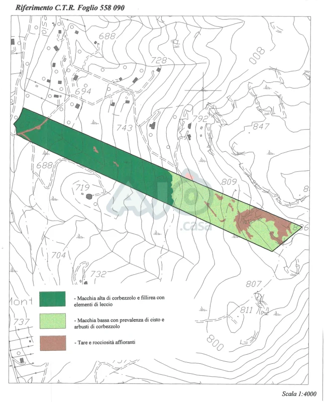 Real Estate Agency Sardinia