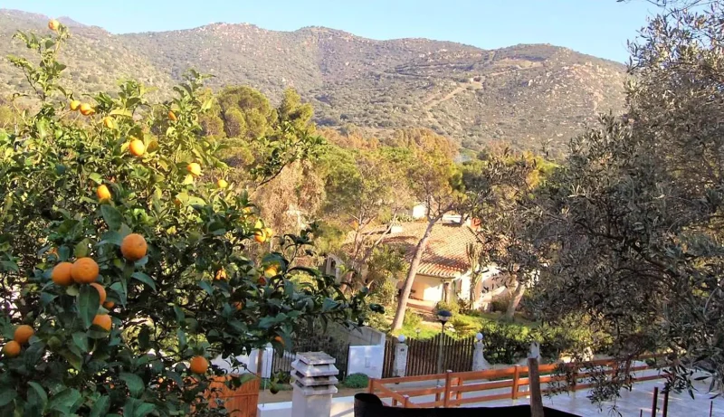 Real Estate Agency Sardinia