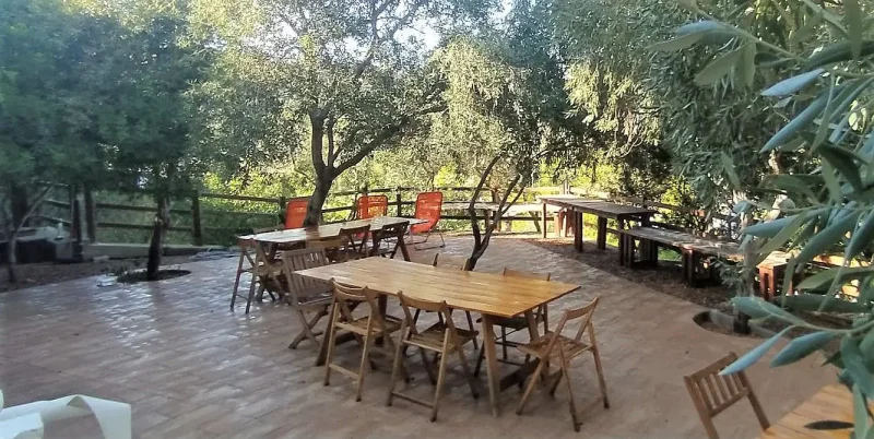 Real Estate Agency Sardinia