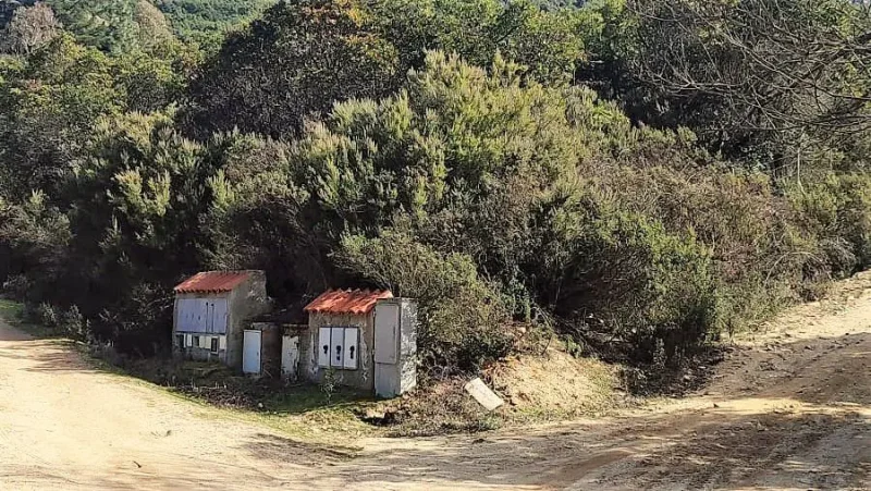 Real Estate Agency Sardinia