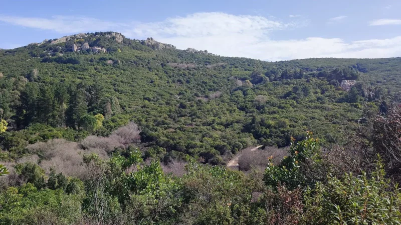 Real Estate Agency Sardinia