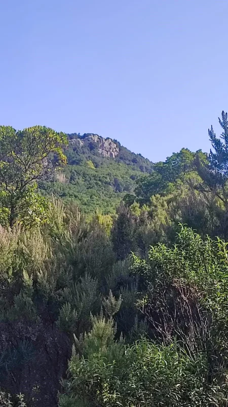 Real Estate Agency Sardinia