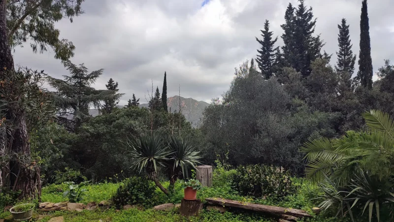 Agenzia Immobiliare Cagliari