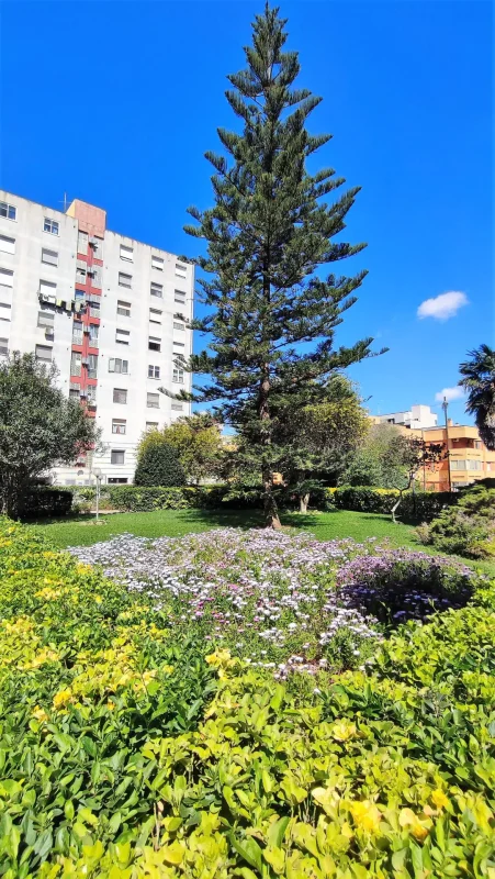 Agenzia Immobiliare Cagliari