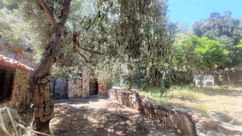 Real Estate Agency Sardinia