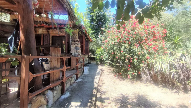 Real Estate Agency Sardinia