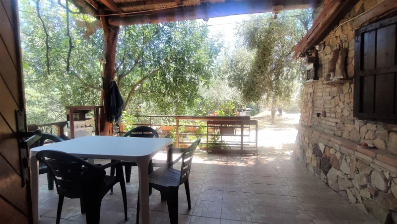 Real Estate Agency Sardinia