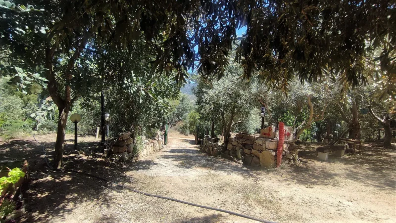 Real Estate Agency Sardinia